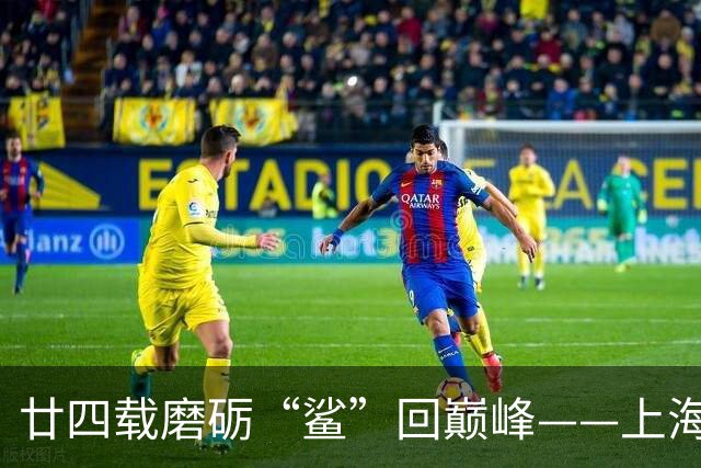 廿四载磨砺“鲨”回巅峰——上海男篮夺冠之路